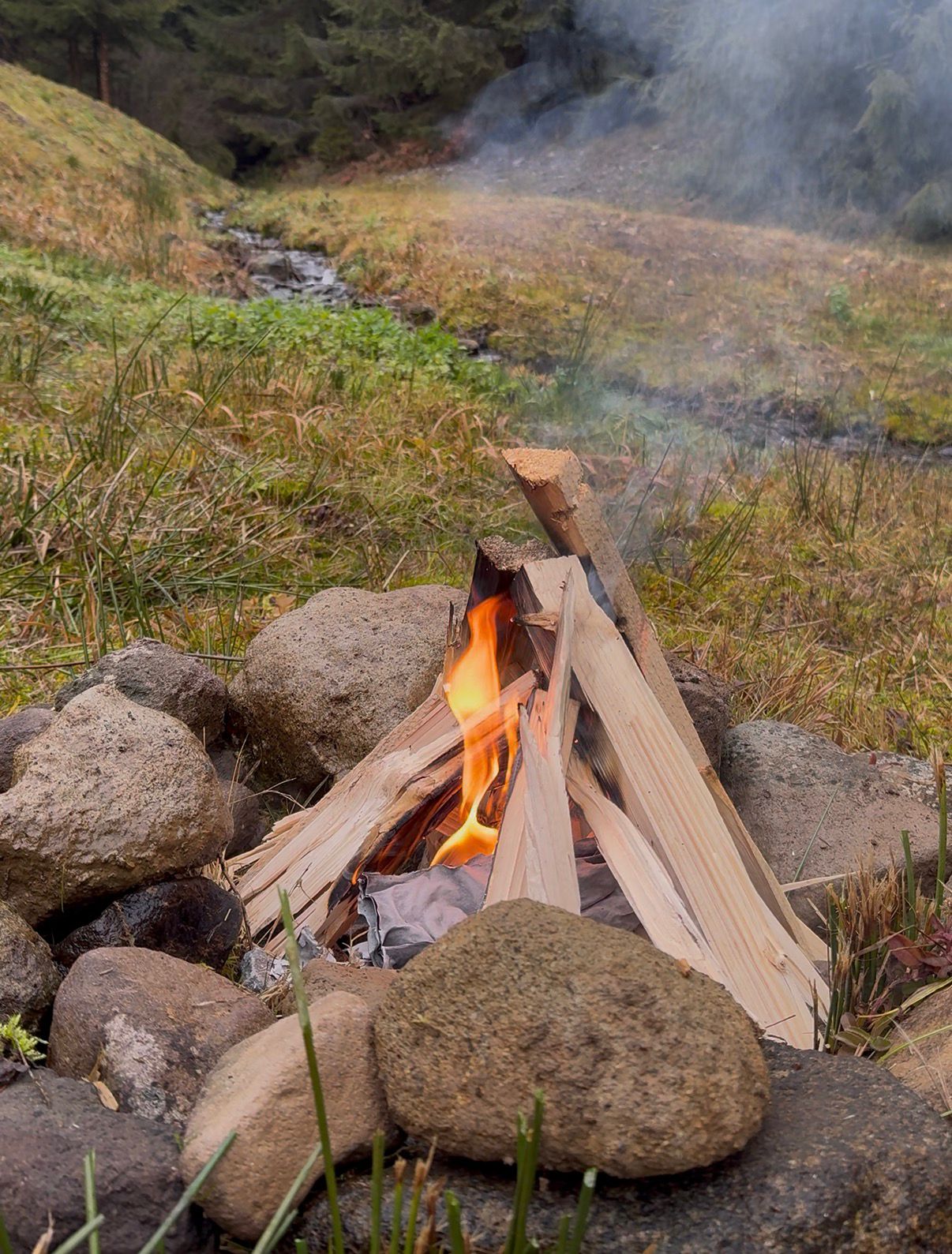 Sandviș cu rasol de vită