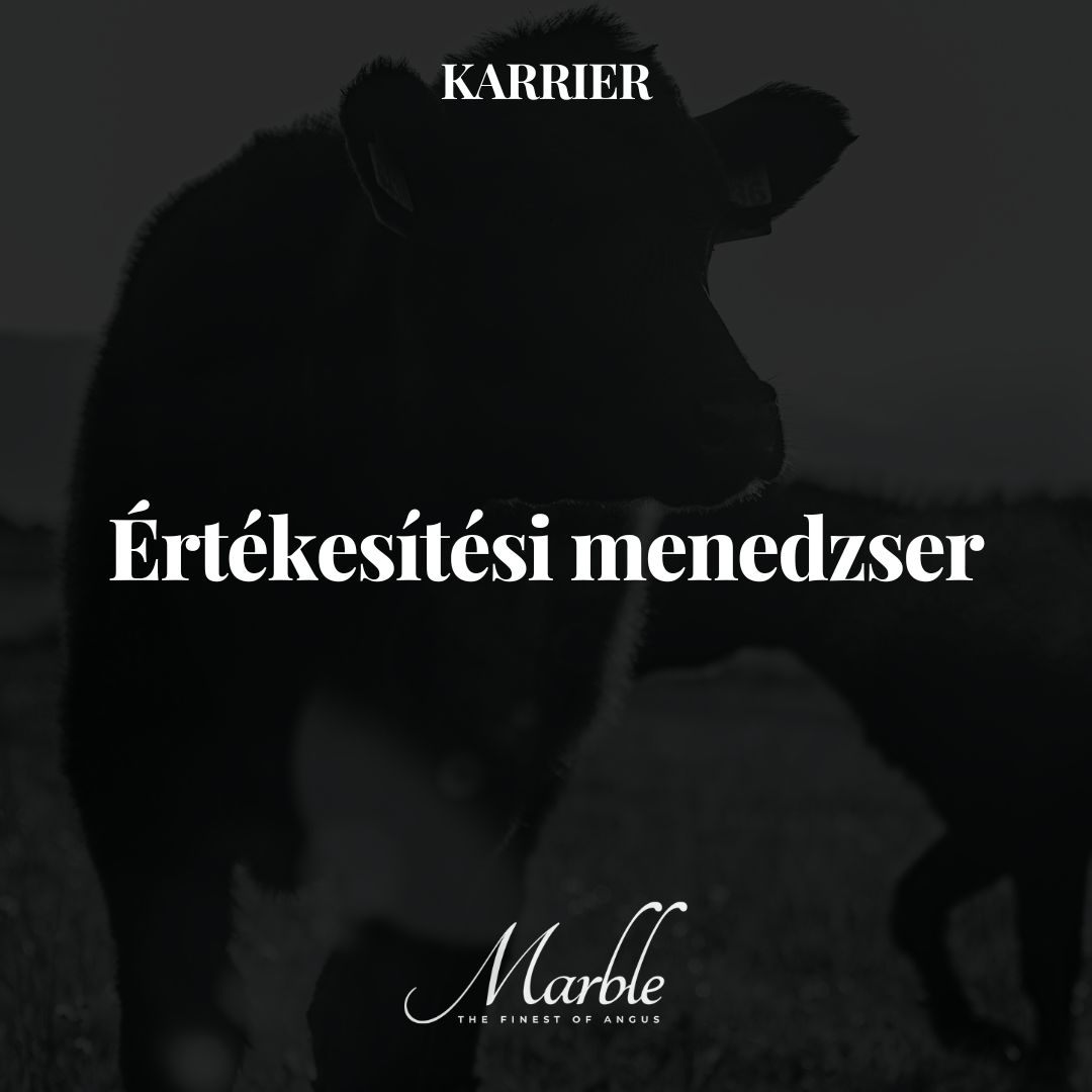 Értékesítési Menedzser