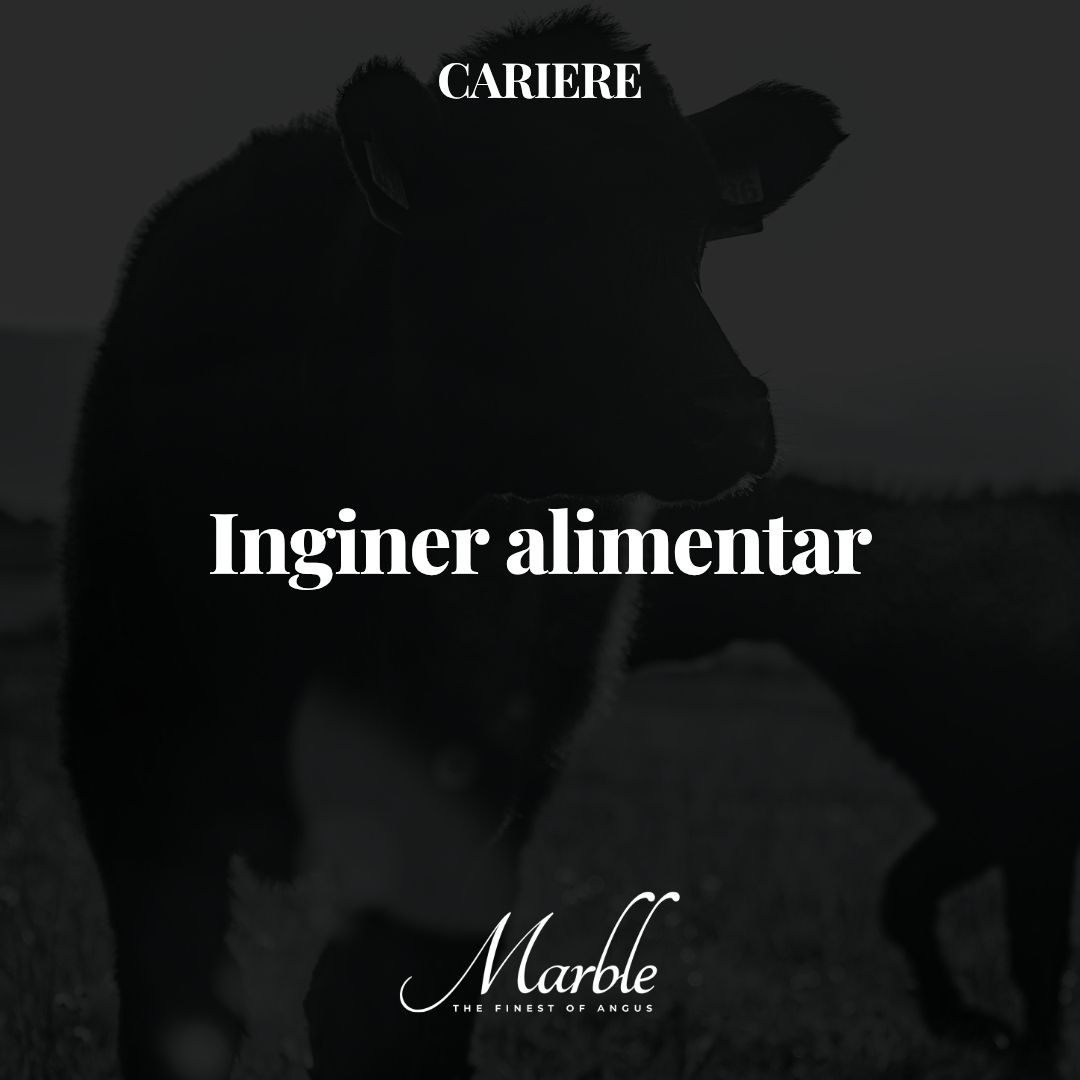 Inginer alimentar