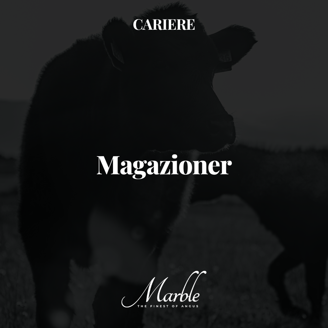 Magazioner