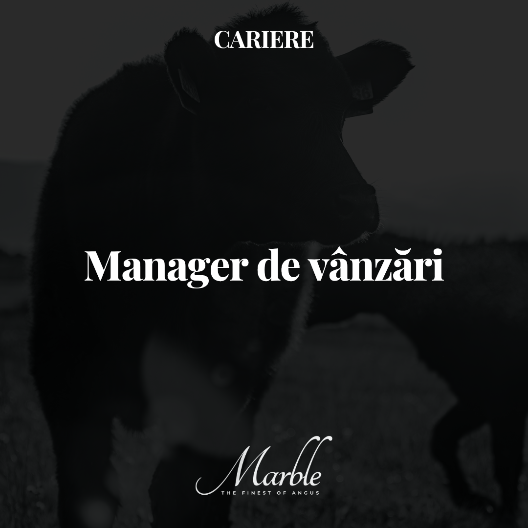 Manager de vânzări